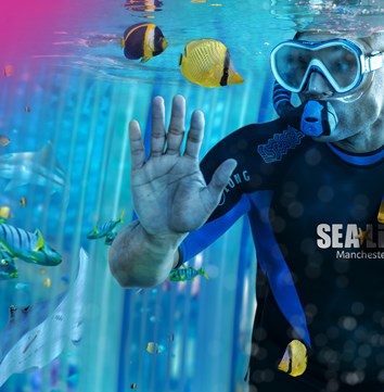 Snorkel with sharks at SEA LIFE