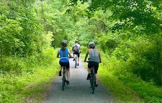 Cycling in the country