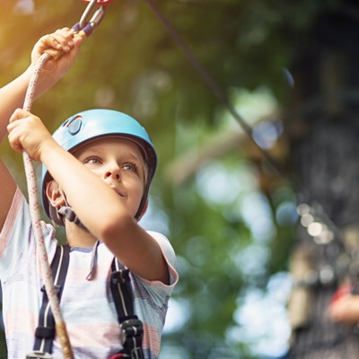 Trafford Treetop Adventures